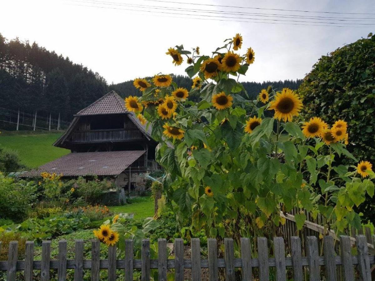 Hotel Walkenstein Oberwolfach Esterno foto
